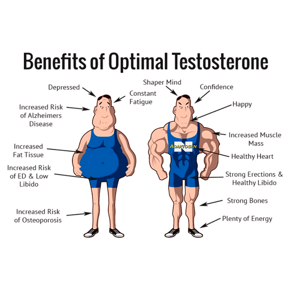 benefits of testosterone boosting supplement