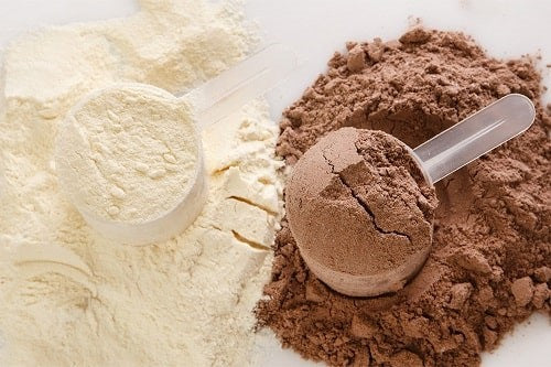 whey protein facts