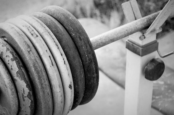 PROVEN Workout Routines & Diet Plans (Yes, they should cost more)