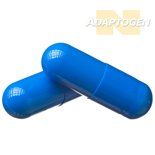 Shop.BodyBuildingSupplements.com