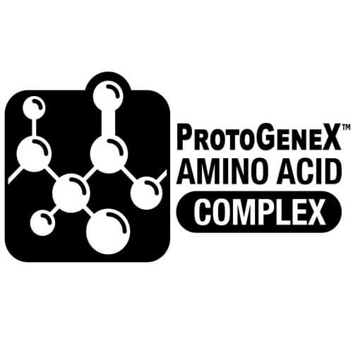 synthagen labs amino acid complex protogenex