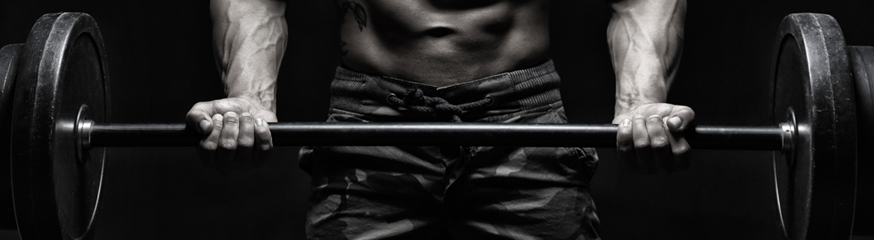 BODYBUILDING SUPPLEMENTS