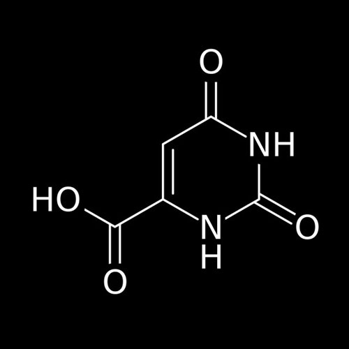 Special Report: Why is Orotic Acid use by elite athletes increasing?