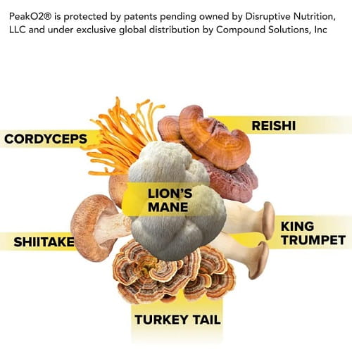 New! PEAK 02 - Power & Endurance, Patented Mushroom Blend