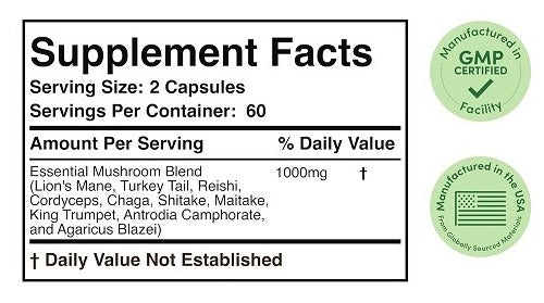 The NUTRITION DISCOUNTERS OUTLET STORE is Now Online...