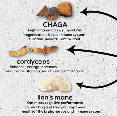 Chaga Cordyceps Lion's Mane mushroom benefits