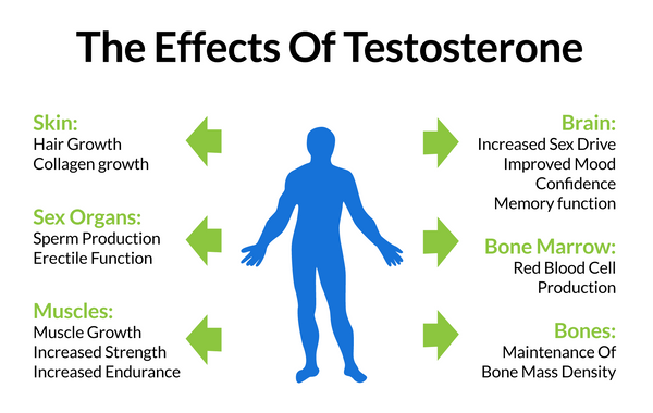 boosting Testosterone